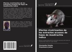 Borítókép a  Efectos cicatrizantes de los extractos acuosos de hojas de Azadirachta indica - hoz