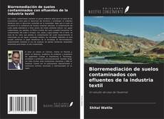 Capa do livro de Biorremediación de suelos contaminados con efluentes de la industria textil 