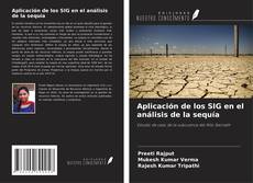 Copertina di Aplicación de los SIG en el análisis de la sequía