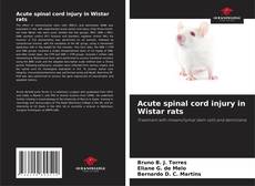 Acute spinal cord injury in Wistar rats的封面