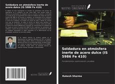 Buchcover von Soldadura en atmósfera inerte de acero dulce (IS 5986 Fe 410)