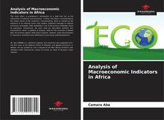 Bookcover of Analysis of Macroeconomic Indicators in Africa