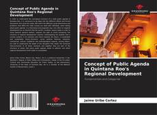Concept of Public Agenda in Quintana Roo's Regional Development的封面