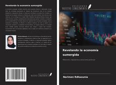 Buchcover von Revelando la economía sumergida