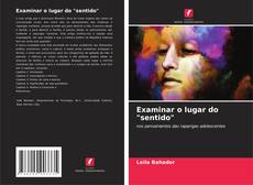 Buchcover von Examinar o lugar do "sentido"