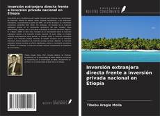 Copertina di Inversión extranjera directa frente a inversión privada nacional en Etiopía