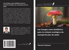 Couverture de Los hongos como biofábrica para la síntesis ecológica de nanopartículas de plata