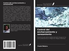 Buchcover von Control del encharcamiento y saneamiento