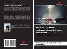 Minimum fees for the profession of certified public accountants的封面