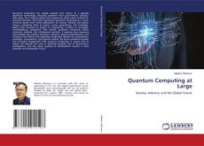 Bookcover of Quantum Computing at Large