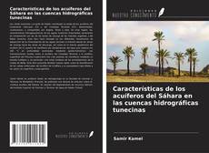 Buchcover von Características de los acuíferos del Sáhara en las cuencas hidrográficas tunecinas