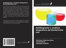 Buchcover von Antibograma y análisis bioquímico de Escherichia coli