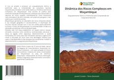 Capa do livro de Dinâmica dos Riscos Complexos em Moçambique 