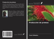 Buchcover von Producción de proteas