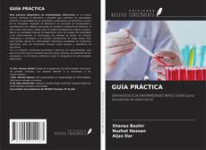 Buchcover von GUÍA PRÁCTICA