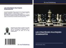 LES STRATÉGIES POLITIQUES DOMINANTES kitap kapağı