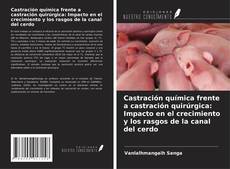 Buchcover von Castración química frente a castración quirúrgica: Impacto en el crecimiento y los rasgos de la canal del cerdo