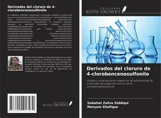 Buchcover von Derivados del cloruro de 4-clorobencenosulfonilo
