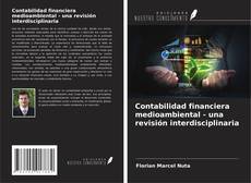 Copertina di Contabilidad financiera medioambiental - una revisión interdisciplinaria