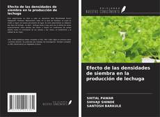 Copertina di Efecto de las densidades de siembra en la producción de lechuga