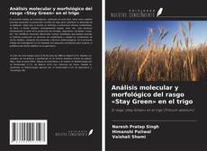 Copertina di Análisis molecular y morfológico del rasgo «Stay Green» en el trigo