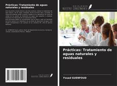 Buchcover von Prácticas: Tratamiento de aguas naturales y residuales