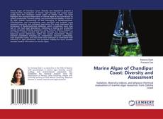 Borítókép a  Marine Algae of Chandipur Coast: Diversity and Assessment - hoz