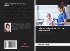 Bookcover of Labour migration in the care sector