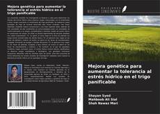 Copertina di Mejora genética para aumentar la tolerancia al estrés hídrico en el trigo panificable
