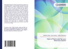 Copertina di Hybrid Multimodal Sarcasm Detection System