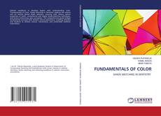 Copertina di FUNDAMENTALS OF COLOR