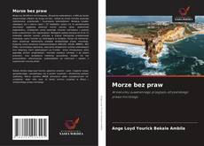 Portada del libro de Morze bez praw