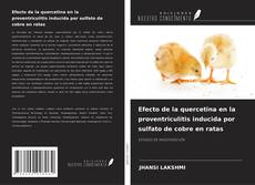 Copertina di Efecto de la quercetina en la proventriculitis inducida por sulfato de cobre en ratas