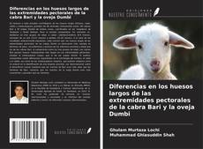 Buchcover von Diferencias en los huesos largos de las extremidades pectorales de la cabra Bari y la oveja Dumbi