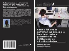 Couverture de Retos a los que se enfrentan las pymes a la hora de acceder a préstamos de las instituciones de microfinanciación