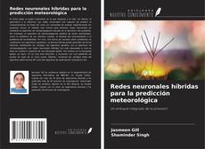 Couverture de Redes neuronales híbridas para la predicción meteorológica