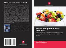 Buchcover von Afinal, de quem é esta política?