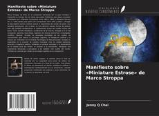 Copertina di Manifiesto sobre «Miniature Estrose» de Marco Stroppa