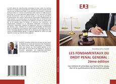 LES FONDAMENTAUX DU DROIT PENAL GENERAL : 2ème édition kitap kapağı