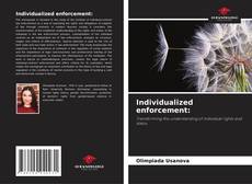 Capa do livro de Individualized enforcement: 