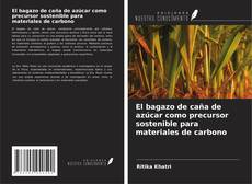 Couverture de El bagazo de caña de azúcar como precursor sostenible para materiales de carbono