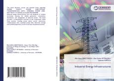 Bookcover of Industrial Energy Infrastructures