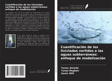 Copertina di Cuantificación de los lixiviados vertidos a las aguas subterráneas: enfoque de modelización