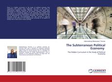 Bookcover of The Subterranean Political Economy