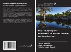 Couverture de Hacia un agua pura: eliminación de metales pesados por complejación