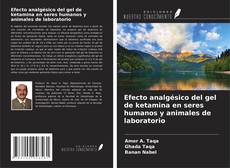 Copertina di Efecto analgésico del gel de ketamina en seres humanos y animales de laboratorio