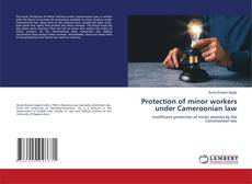 Protection of minor workers under Cameroonian law的封面