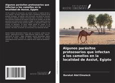 Copertina di Algunos parásitos protozoarios que infectan a los camellos en la localidad de Assiut, Egipto