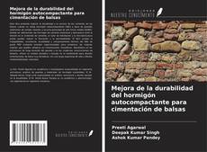 Copertina di Mejora de la durabilidad del hormigón autocompactante para cimentación de balsas