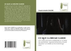 CE QUE LA BRUME GARDE的封面